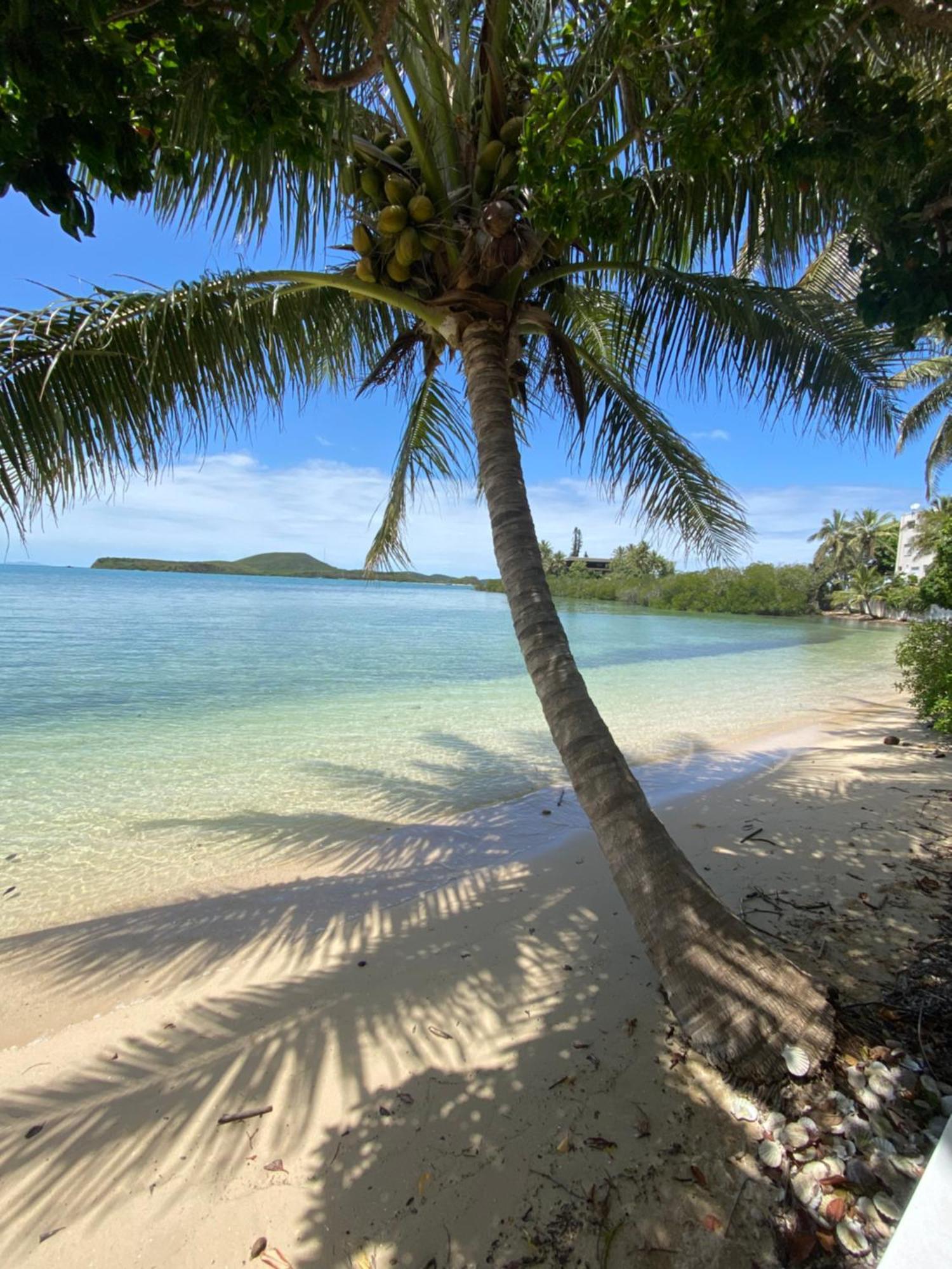Appartamento Michelle'S Flat By The Sea Noumea Esterno foto
